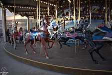 tsf25-carousel006