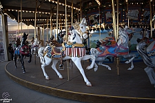 tsf25-carousel007