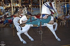 tsf25-carousel008