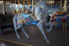 tsf25-carousel009