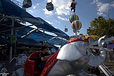 tsf25-jumbos004
