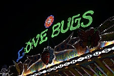 tsf25-love017