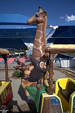 tsf25-safari002