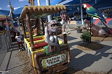 tsf25-safari004