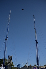 tsf25-sling015