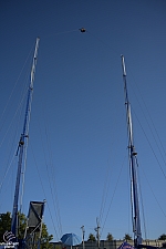 tsf25-sling017