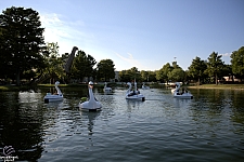 tsf25-swan002