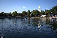 tsf25-swan007
