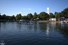 tsf25-swan008