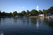 tsf25-swan009