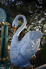 tsf25-swan010