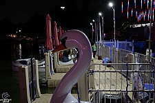 tsf25-swan014