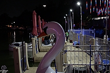 tsf25-swan015