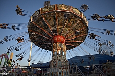 tsf25-swings008
