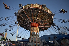 tsf25-swings010