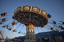 tsf25-swings013