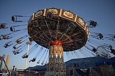 tsf25-swings022