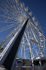 tsf25-wheel008