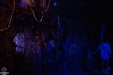 usf-25hhn048