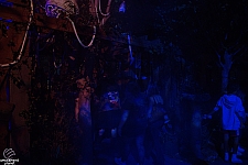 usf-25hhn049