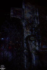 usf-25hhn278